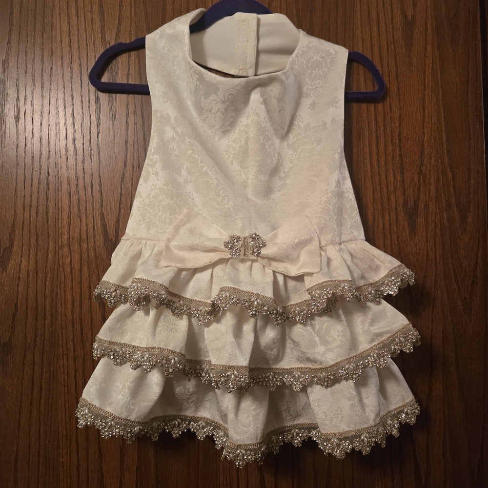 Sassy Cream Dog Dress with Gold Accents